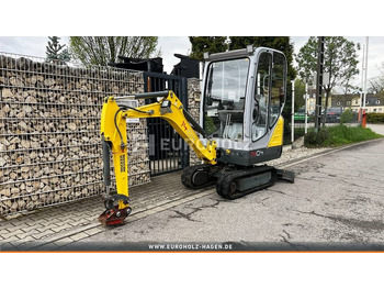 Μίνι εκσκαφέας Wacker Neuson 1404 Minibagger, Schnellwechsler MS01, Knickmatik: φωτογραφία 2