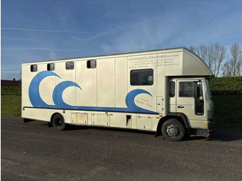Φορτηγό 1993 VOLVO FL 612 TRUCK HORSE TRAILER: φωτογραφία 3 Φορτηγό 1993 VOLVO FL 612 TRUCK HORSE TRAILER: φωτογραφία 3
