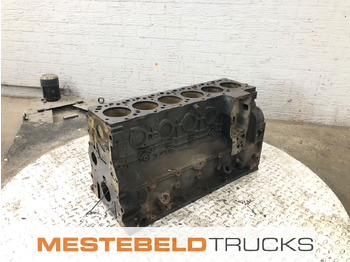 Κινητήρας και ανταλλακτικά για Φορτηγό DAF Motorblok: φωτογραφία 2