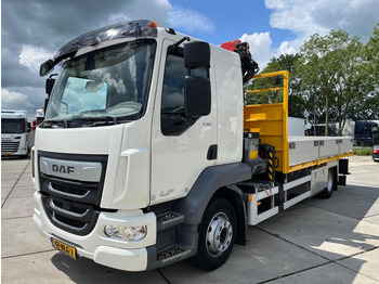Φορτηγό με γερανό DAF LF 230