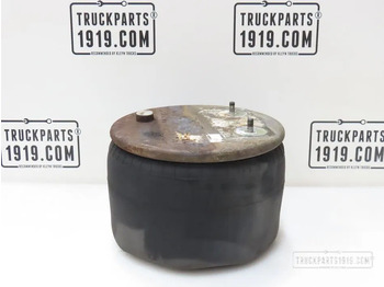 Πνευματική ανάρτηση DAF