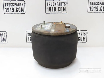 Πνευματική ανάρτηση DAF