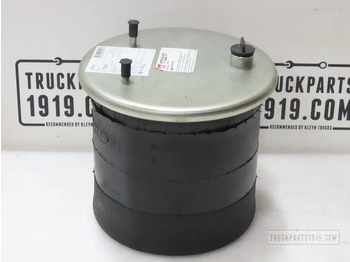 Πνευματική ανάρτηση DAF