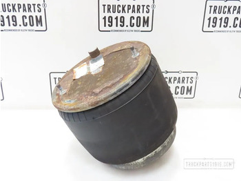 Πνευματική ανάρτηση DAF