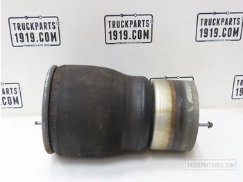 Πνευματική ανάρτηση DAF