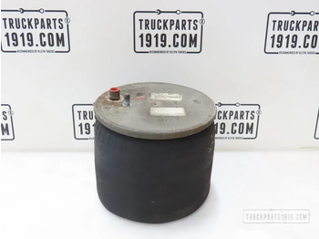 Πνευματική ανάρτηση MAN