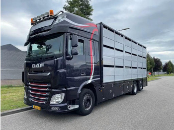 Φορτηγό μεταφορά ζώων DAF XF 460