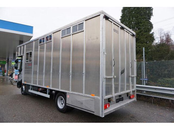 Leasing Iveco EUROCARGO 80-190 Lószállító Iveco EUROCARGO 80-190 Lószállító: φωτογραφία 5 Leasing Iveco EUROCARGO 80-190 Lószállító Iveco EUROCARGO 80-190 Lószállító: φωτογραφία 5