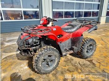 Τετράκλινα Taiwan Golden Bee Petrol Quad Bike: φωτογραφία 1