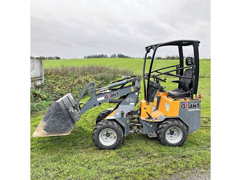 Φορτωτής πλάγιας ολίσθησης Giant D254SW: φωτογραφία 2 Φορτωτής πλάγιας ολίσθησης Giant D254SW: φωτογραφία 2