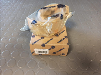 : φωτογραφία κεφαλίδας