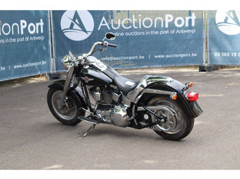 Μοτοσικλέτα Harley-Davidson Fat Boy: φωτογραφία 3 Μοτοσικλέτα Harley-Davidson Fat Boy: φωτογραφία 3