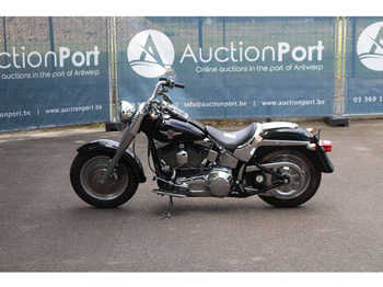 Μοτοσικλέτα Harley-Davidson Fat Boy: φωτογραφία 2 Μοτοσικλέτα Harley-Davidson Fat Boy: φωτογραφία 2