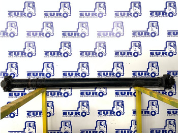 Κεντρικοί άξονες SCANIA