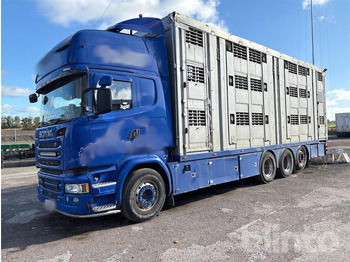 Φορτηγό μεταφορά ζώων SCANIA R 580