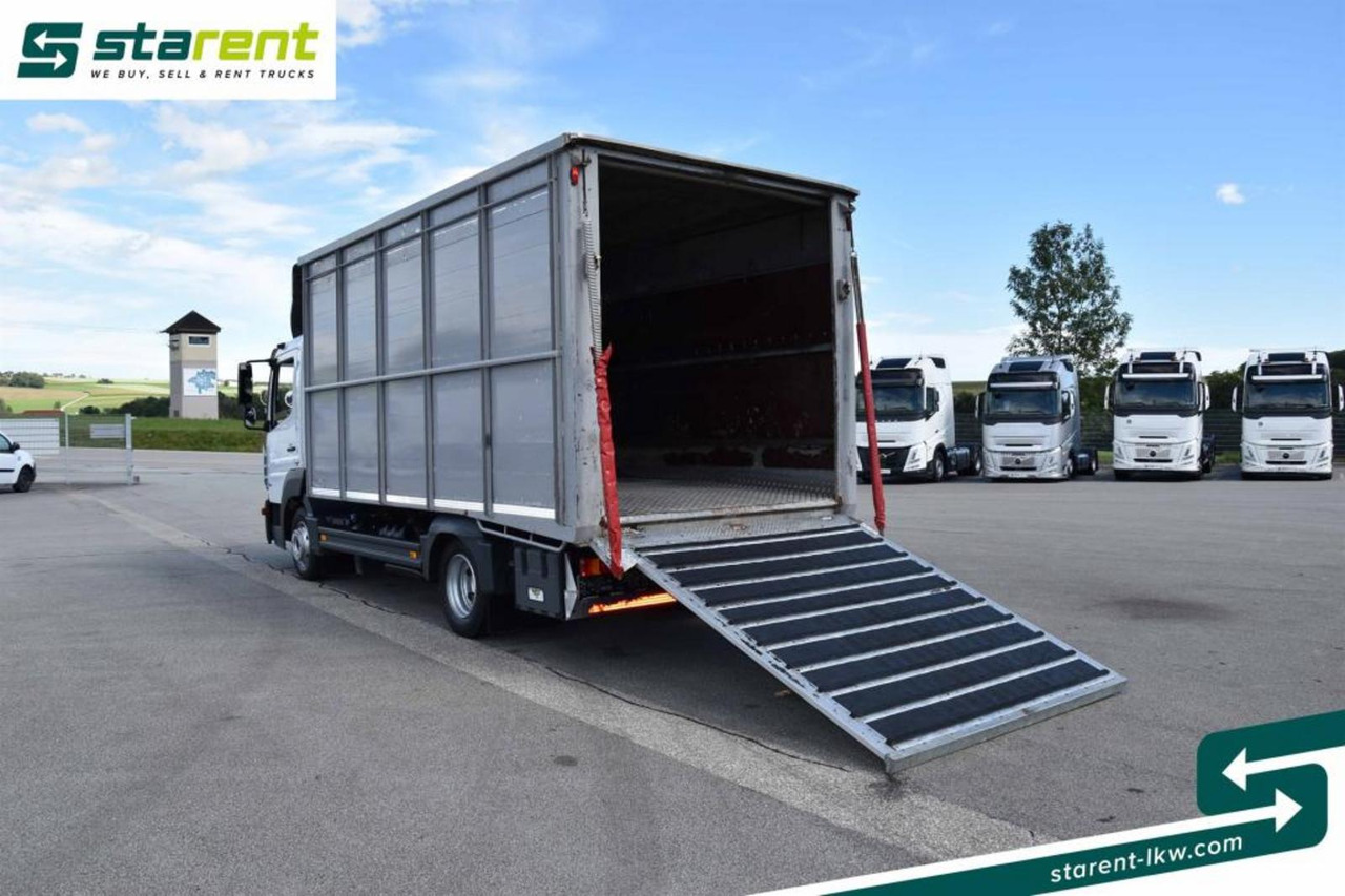 Φορτηγό μεταφορά ζώων Mercedes Benz 818 Viehtransporter Scheuwimmer Aufbau: φωτογραφία 9 Φορτηγό μεταφορά ζώων Mercedes Benz 818 Viehtransporter Scheuwimmer Aufbau: φωτογραφία 9