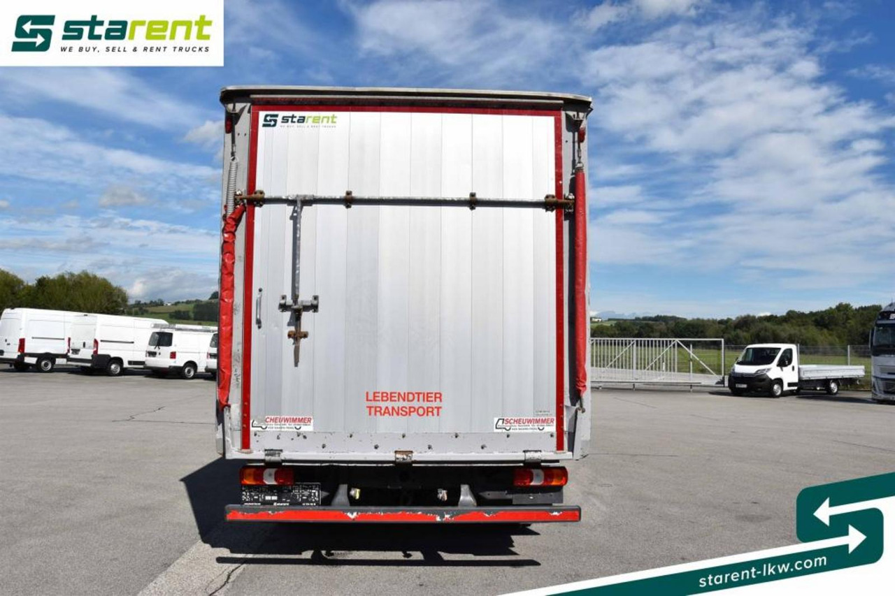 Φορτηγό μεταφορά ζώων Mercedes Benz 818 Viehtransporter Scheuwimmer Aufbau: φωτογραφία 6 Φορτηγό μεταφορά ζώων Mercedes Benz 818 Viehtransporter Scheuwimmer Aufbau: φωτογραφία 6