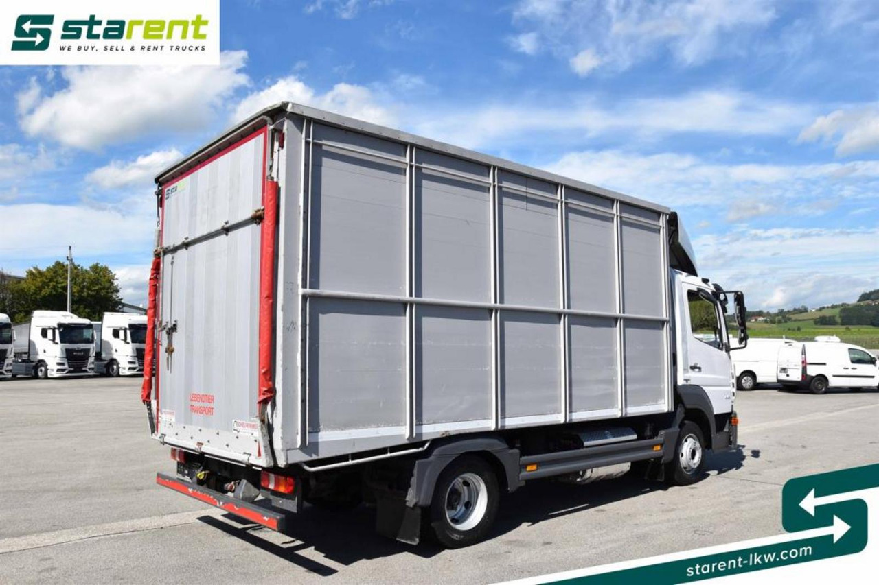 Mercedes Benz 818 Viehtransporter Scheuwimmer Aufbau - Φορτηγό μεταφορά ζώων: φωτογραφία 5 Mercedes Benz 818 Viehtransporter Scheuwimmer Aufbau - Φορτηγό μεταφορά ζώων: φωτογραφία 5