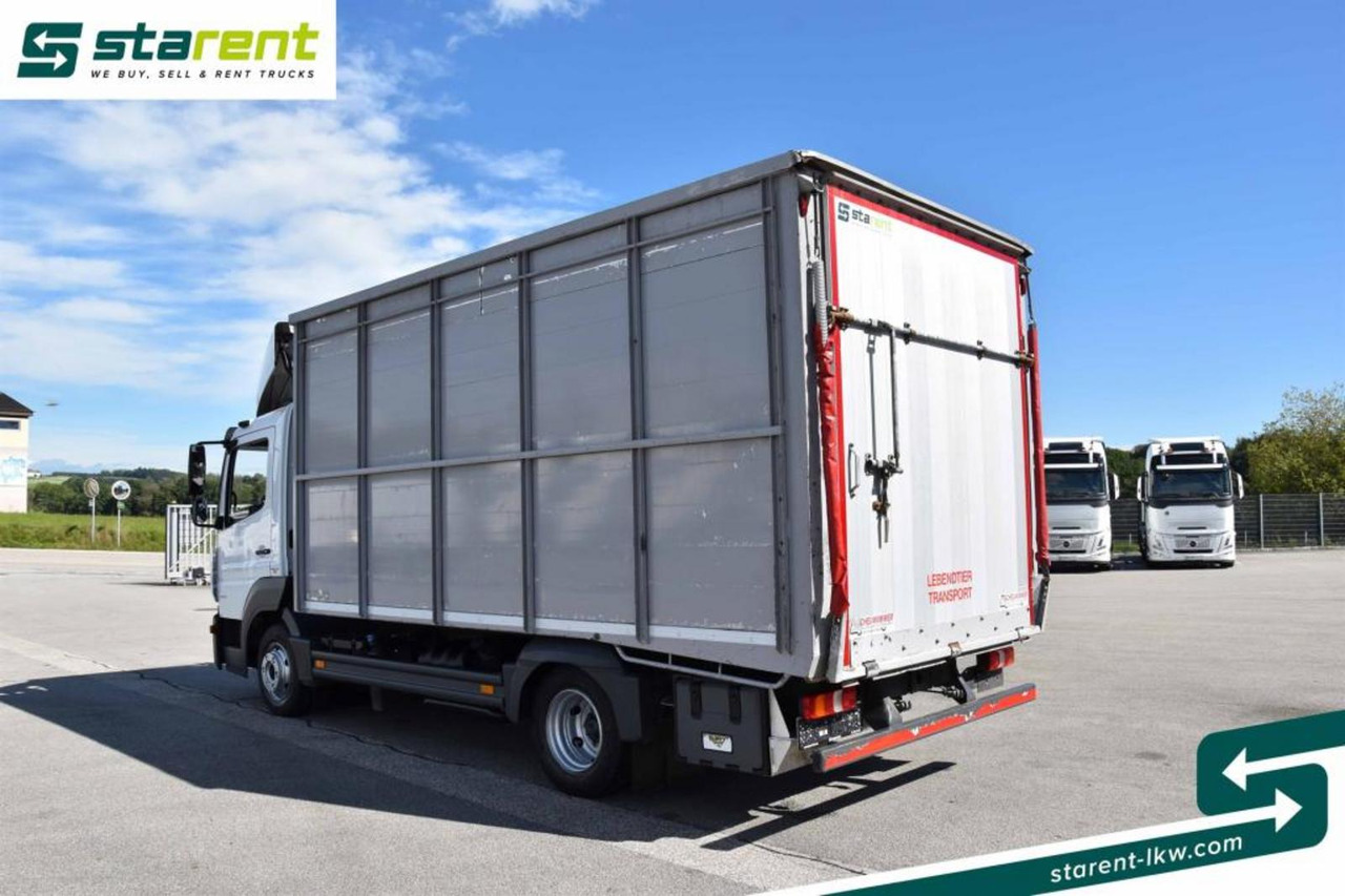 Φορτηγό μεταφορά ζώων Mercedes Benz 818 Viehtransporter Scheuwimmer Aufbau: φωτογραφία 7 Φορτηγό μεταφορά ζώων Mercedes Benz 818 Viehtransporter Scheuwimmer Aufbau: φωτογραφία 7
