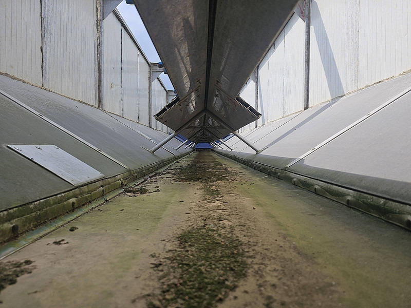 Επικαθήμενο ανατρεπόμενο ASCA S322DC 32M3 BANDLOSSER: φωτογραφία 10