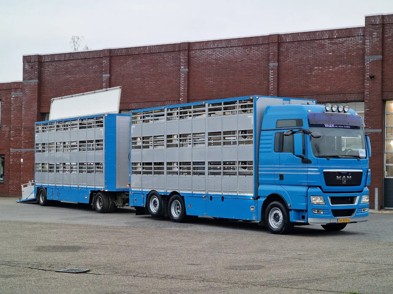 MAN TGX 26.440 6x2*4 - 3 deck Livestock - Water & Ventilation + Jumbo/Bekkers 3 deck trailer - Φορτηγό μεταφορά ζώων: φωτογραφία 1 MAN TGX 26.440 6x2*4 - 3 deck Livestock - Water & Ventilation + Jumbo/Bekkers 3 deck trailer - Φορτηγό μεταφορά ζώων: φωτογραφία 1