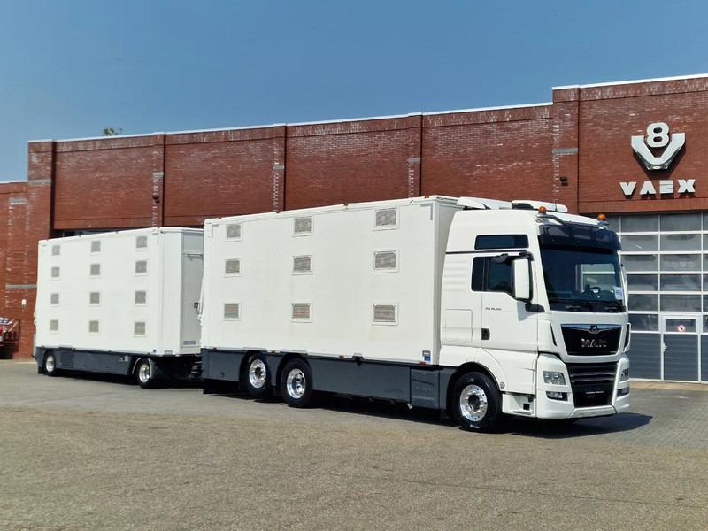 MAN TGX 500 6x2 - 3 deck Cuppers + 4 deck Cuppers 2019 trailer - Water & Ventilation - Night clima - - Φορτηγό μεταφορά ζώων: φωτογραφία 2 MAN TGX 500 6x2 - 3 deck Cuppers + 4 deck Cuppers 2019 trailer - Water & Ventilation - Night clima - - Φορτηγό μεταφορά ζώων: φωτογραφία 2