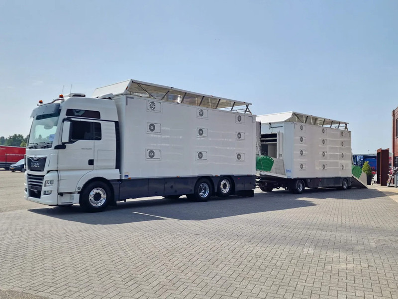 MAN TGX 500 6x2 - 3 deck Cuppers + 4 deck Cuppers 2019 trailer - Water & Ventilation - Night clima - - Φορτηγό μεταφορά ζώων: φωτογραφία 3 MAN TGX 500 6x2 - 3 deck Cuppers + 4 deck Cuppers 2019 trailer - Water & Ventilation - Night clima - - Φορτηγό μεταφορά ζώων: φωτογραφία 3
