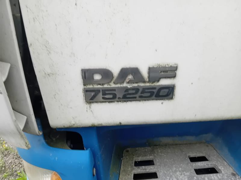 DAF CF 75.250 - Φορτηγό κόφα: φωτογραφία 2 DAF CF 75.250 - Φορτηγό κόφα: φωτογραφία 2