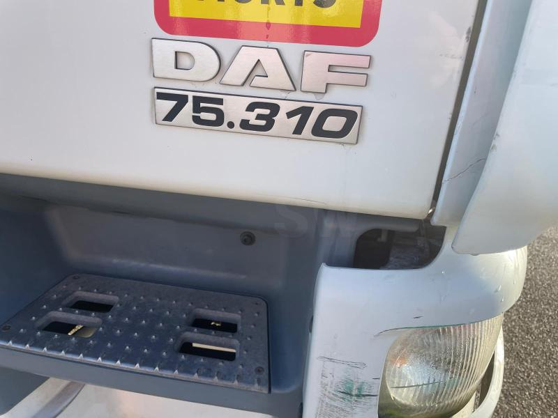 Φορτηγό μουσαμάς DAF CF75 310: φωτογραφία 14