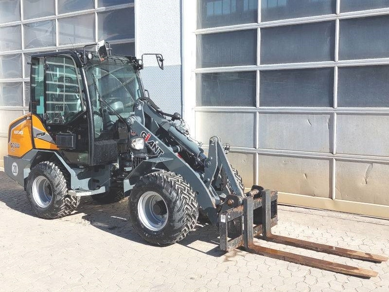 Giant G 3500 X-Tra - Φορτωτής πλάγιας ολίσθησης: φωτογραφία 4 Giant G 3500 X-Tra - Φορτωτής πλάγιας ολίσθησης: φωτογραφία 4