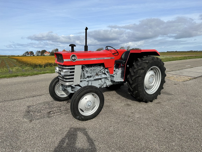 Τρακτέρ Massey Ferguson 165: φωτογραφία 1
