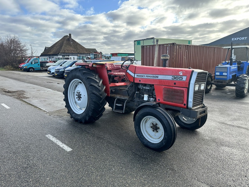 Massey Ferguson 365 - Τρακτέρ: φωτογραφία 3 Massey Ferguson 365 - Τρακτέρ: φωτογραφία 3