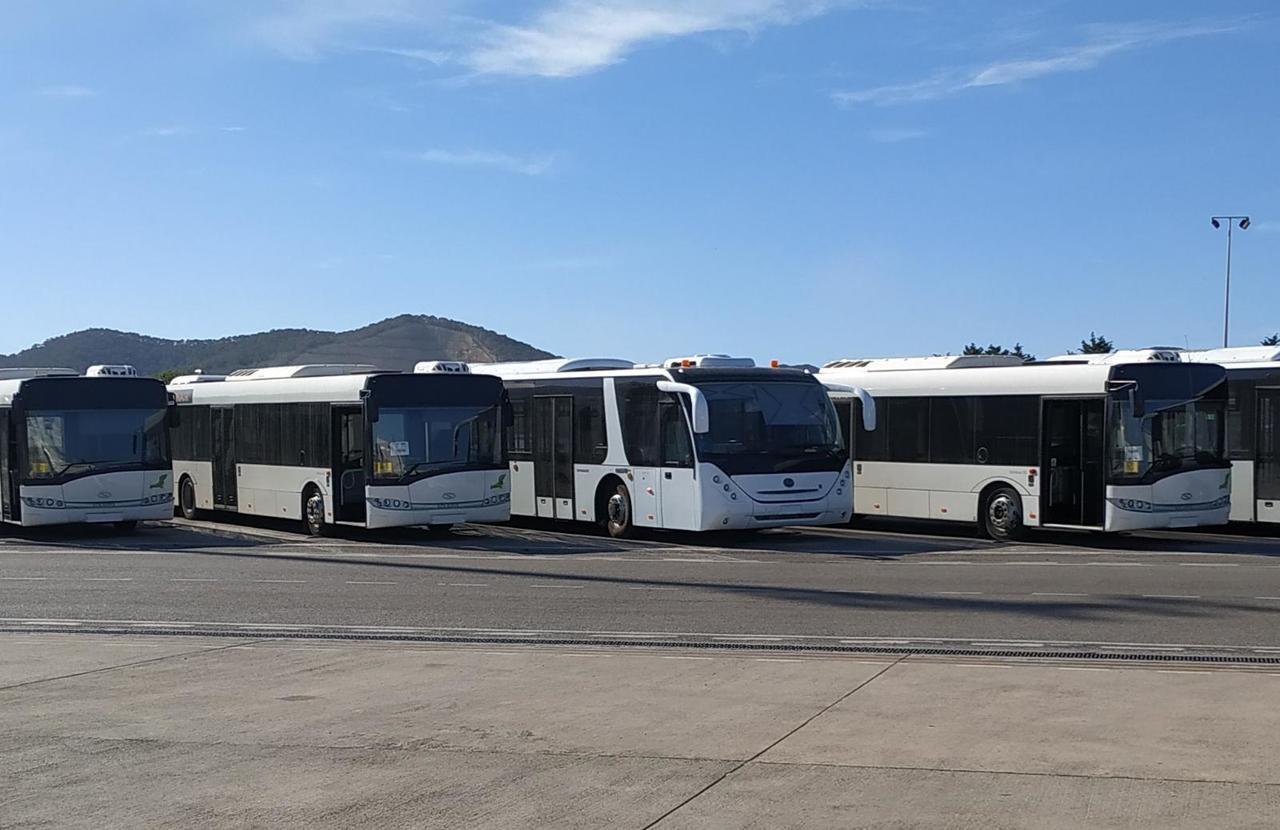 Solaris Urbino 12 - Λεωφορείο αεροδρομίου: φωτογραφία 1 Solaris Urbino 12 - Λεωφορείο αεροδρομίου: φωτογραφία 1