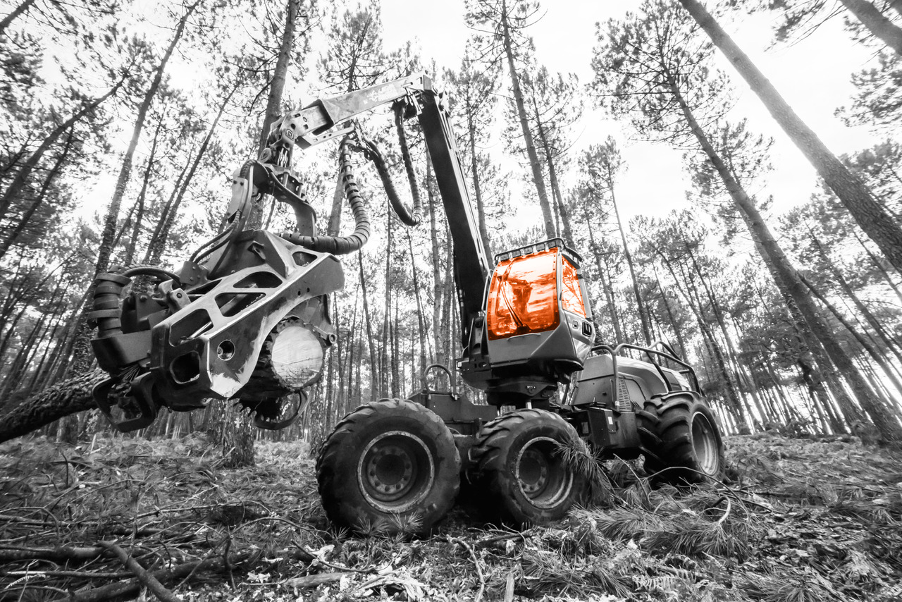 - Παρμπρίζ για Συλλεκτική μηχανή - forest harvester: φωτογραφία 4 - Παρμπρίζ για Συλλεκτική μηχανή - forest harvester: φωτογραφία 4