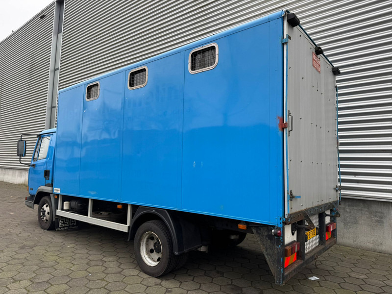 DAF LF45.130 / Horse Truck / 6 Cilinder / Manual Gearbox / Euro 2 / NL Trucks - Φορτηγό μεταφορά ζώων: φωτογραφία 4 DAF LF45.130 / Horse Truck / 6 Cilinder / Manual Gearbox / Euro 2 / NL Trucks - Φορτηγό μεταφορά ζώων: φωτογραφία 4