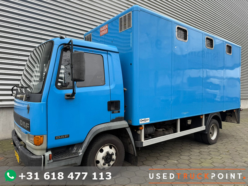 DAF LF45.130 / Horse Truck / 6 Cilinder / Manual Gearbox / Euro 2 / NL Trucks - Φορτηγό μεταφορά ζώων: φωτογραφία 1 DAF LF45.130 / Horse Truck / 6 Cilinder / Manual Gearbox / Euro 2 / NL Trucks - Φορτηγό μεταφορά ζώων: φωτογραφία 1