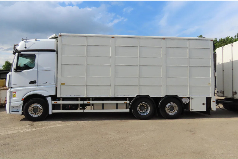 Mercedes-Benz Actros 2551 BERDEX 3 decks, All options + Berdex 12/ 2007 - Φορτηγό μεταφορά ζώων: φωτογραφία 4 Mercedes-Benz Actros 2551 BERDEX 3 decks, All options + Berdex 12/ 2007 - Φορτηγό μεταφορά ζώων: φωτογραφία 4