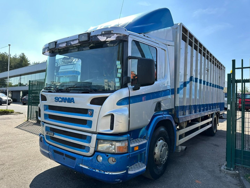 Scania P310 4x2 LIVESTOCK / VEEWAGEN / TIERTRANSPORT / BETAILLERE - ALU BOX 7m - MANUAL - A/C - BELGIAN TRUCK - Φορτηγό μεταφορά ζώων: φωτογραφία 3 Scania P310 4x2 LIVESTOCK / VEEWAGEN / TIERTRANSPORT / BETAILLERE - ALU BOX 7m - MANUAL - A/C - BELGIAN TRUCK - Φορτηγό μεταφορά ζώων: φωτογραφία 3