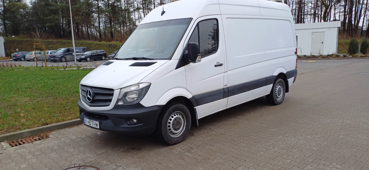 MERCEDES-BENZ Sprinter 319 BlueTec - Αυτοκίνητο: φωτογραφία 2 MERCEDES-BENZ Sprinter 319 BlueTec - Αυτοκίνητο: φωτογραφία 2