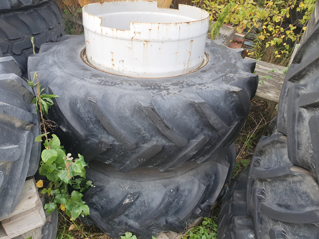 Goodyear 16.9R28 - Ελαστικό για Γεωργικά μηχανήματα: φωτογραφία 1 Goodyear 16.9R28 - Ελαστικό για Γεωργικά μηχανήματα: φωτογραφία 1