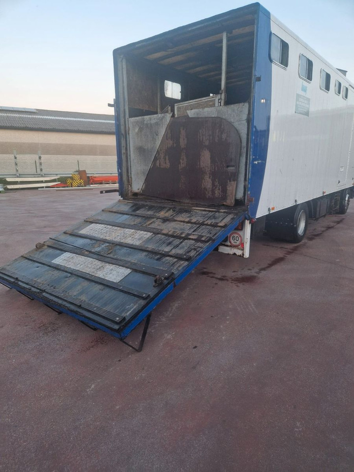 Renault MIDLINER M KOFFER LADEBORDWAND HELLO AFRIKA - Φορτηγό κόφα: φωτογραφία 4 Renault MIDLINER M KOFFER LADEBORDWAND HELLO AFRIKA - Φορτηγό κόφα: φωτογραφία 4