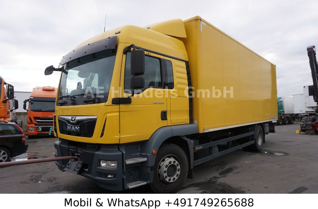 MAN TGM 15.290 LX BL *LDW/LBW-BÄR/2xTank /AHK - Φορτηγό κόφα: φωτογραφία 1 MAN TGM 15.290 LX BL *LDW/LBW-BÄR/2xTank /AHK - Φορτηγό κόφα: φωτογραφία 1