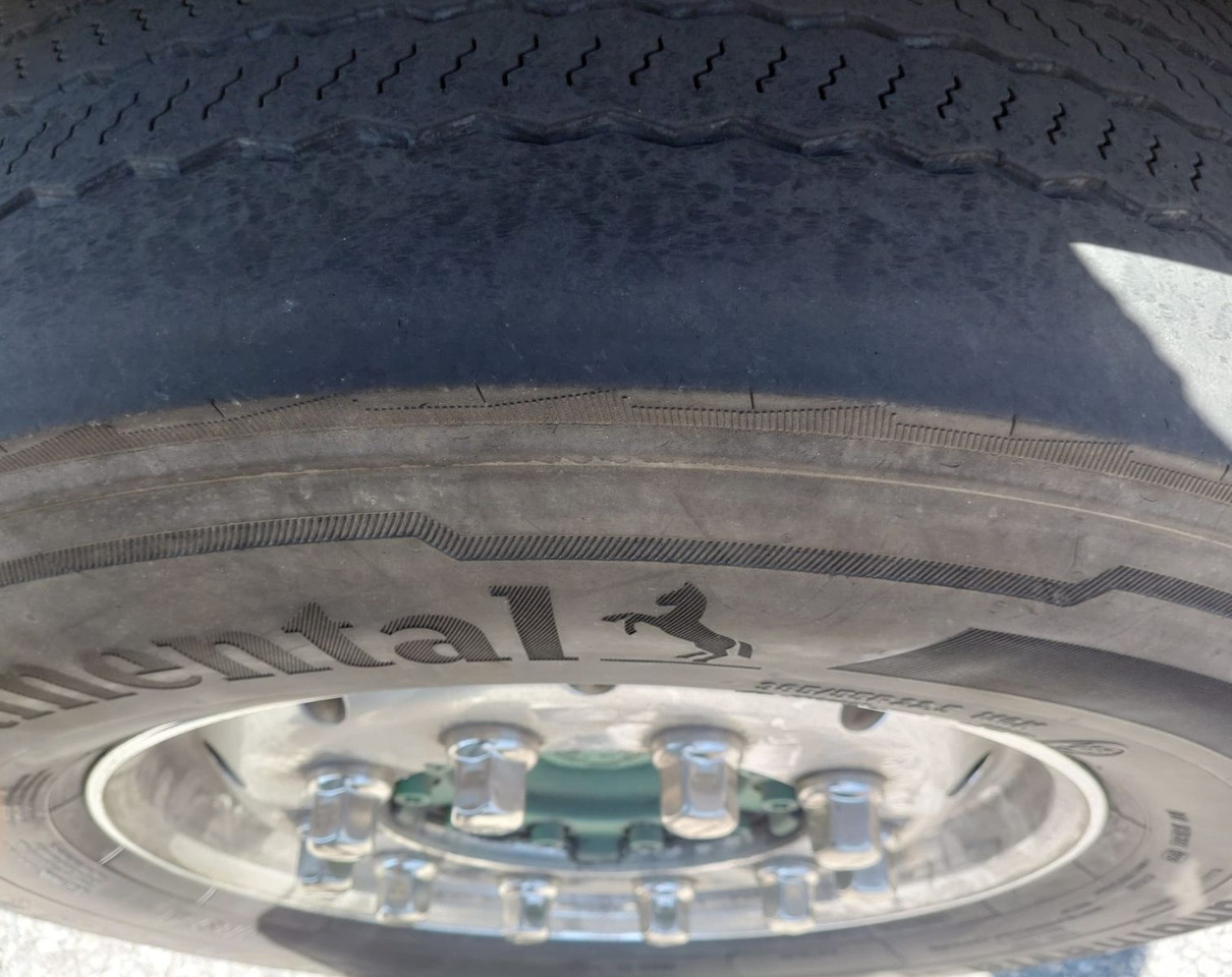 Φορτηγό ψυγείο Scania R450 6x2, E6, Thermo King UT 1200, Ladebordwand: φωτογραφία 18