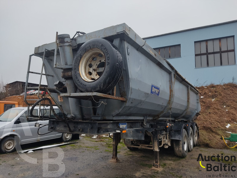 Berger N31 - Επικαθήμενο κουρτίνα: φωτογραφία 2 Berger N31 - Επικαθήμενο κουρτίνα: φωτογραφία 2