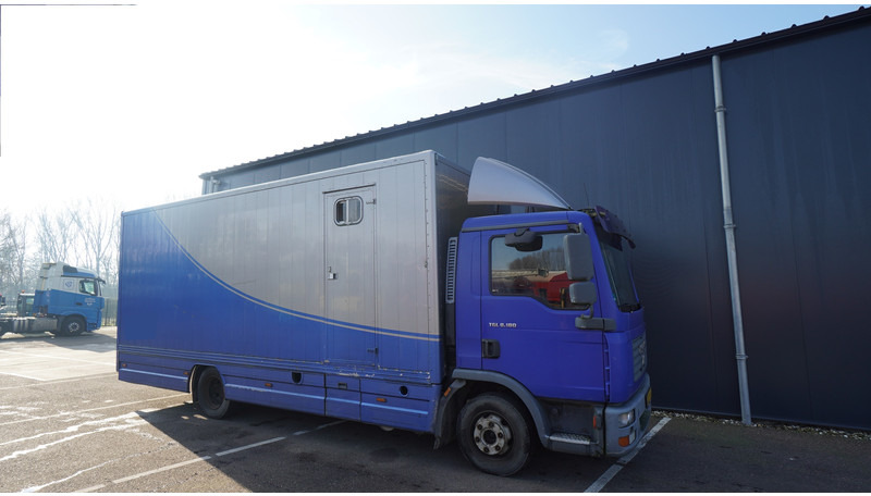 MAN TGL 8.180 HORSE TRANPORT 515.000KM - Φορτηγό μεταφοράς αλόγων: φωτογραφία 4 MAN TGL 8.180 HORSE TRANPORT 515.000KM - Φορτηγό μεταφοράς αλόγων: φωτογραφία 4