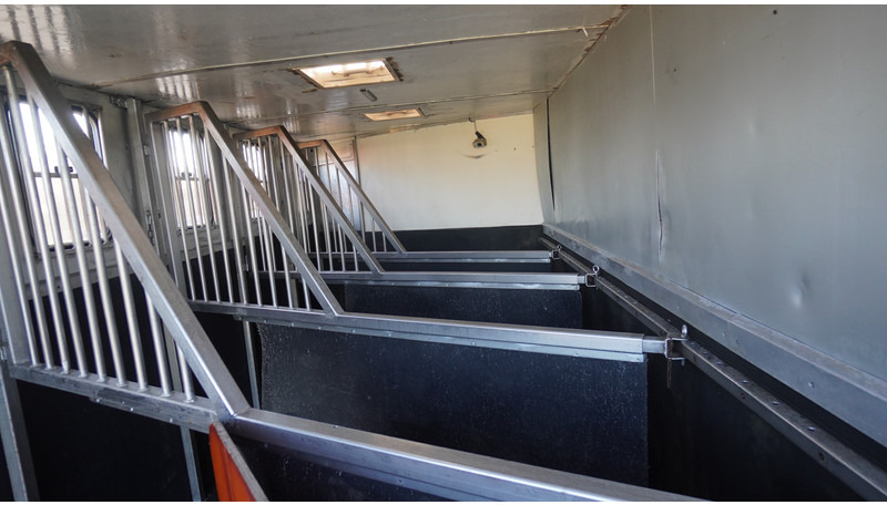 MAN TGL 8.180 HORSE TRANPORT 515.000KM - Φορτηγό μεταφοράς αλόγων: φωτογραφία 5 MAN TGL 8.180 HORSE TRANPORT 515.000KM - Φορτηγό μεταφοράς αλόγων: φωτογραφία 5