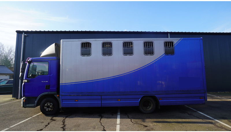 MAN TGL 8.180 HORSE TRANPORT 515.000KM - Φορτηγό μεταφοράς αλόγων: φωτογραφία 1 MAN TGL 8.180 HORSE TRANPORT 515.000KM - Φορτηγό μεταφοράς αλόγων: φωτογραφία 1