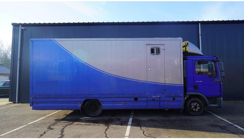 MAN TGL 8.180 HORSE TRANPORT 515.000KM - Φορτηγό μεταφοράς αλόγων: φωτογραφία 2 MAN TGL 8.180 HORSE TRANPORT 515.000KM - Φορτηγό μεταφοράς αλόγων: φωτογραφία 2