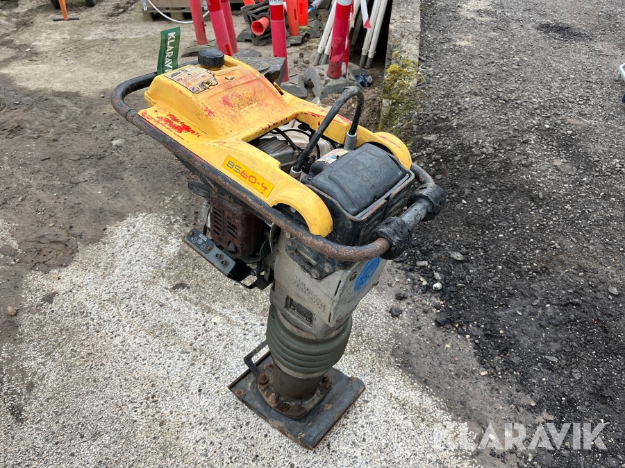 Jordloppe Wacker Neuson Rammep BS60 - 4S - Εξοπλισμού κατασκευών: φωτογραφία 2 Jordloppe Wacker Neuson Rammep BS60 - 4S - Εξοπλισμού κατασκευών: φωτογραφία 2