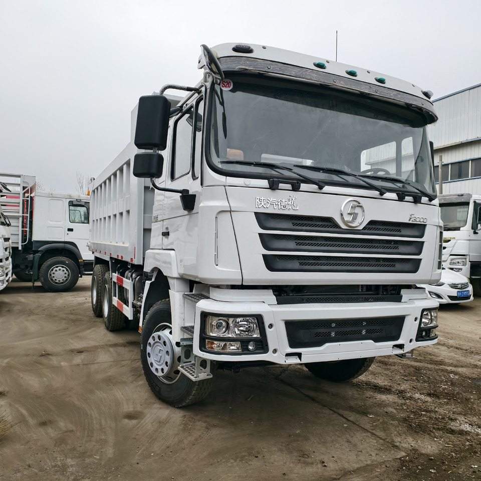SHACMAN F3000 6*4 DUMP TRUCK - Φορτηγό ανατρεπόμενο: φωτογραφία 1 SHACMAN F3000 6*4 DUMP TRUCK - Φορτηγό ανατρεπόμενο: φωτογραφία 1